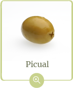 producto-picual