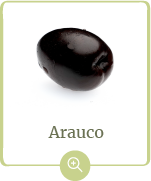 producto-arauco