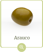 producto-arauco