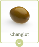 producto-changlot