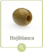 producto-hojiblanca